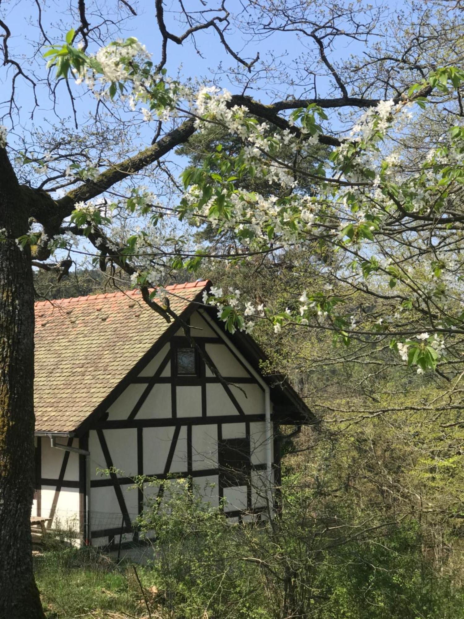 Logis Du Haut-Koenigsbourg تينانْكيرْكْ الغرفة الصورة